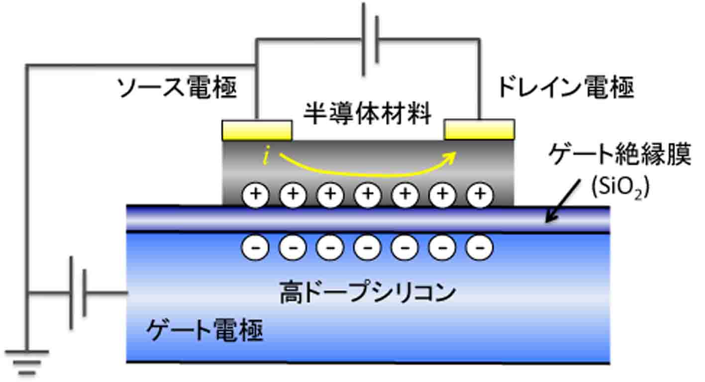 製品名