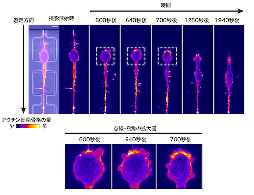 図１_20250222_174x174_RGB_website用.png